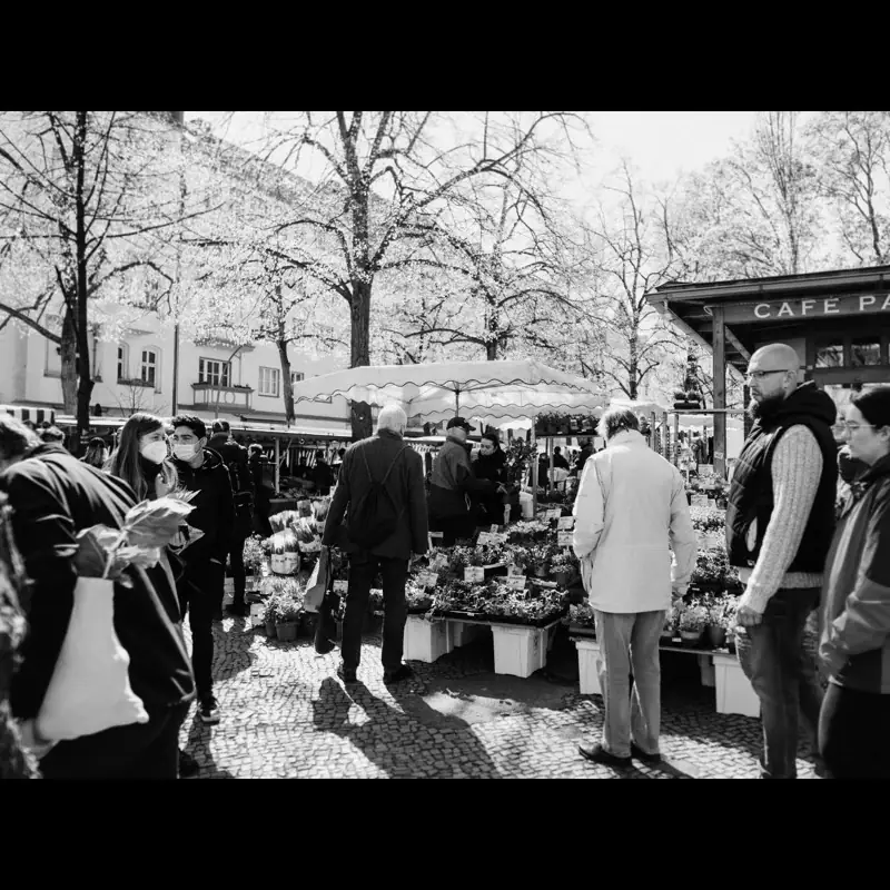 Schwarzweißes Bild eines Marktplatzes mit Ständen unter Bäumen.