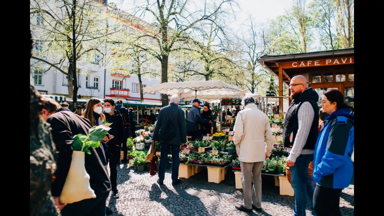 Marktstände mit Pflanzen und Blumen auf einem Platz unter Bäumen, Altbauten im Hintergrund, Menschen gehen zwischen den Ständen.