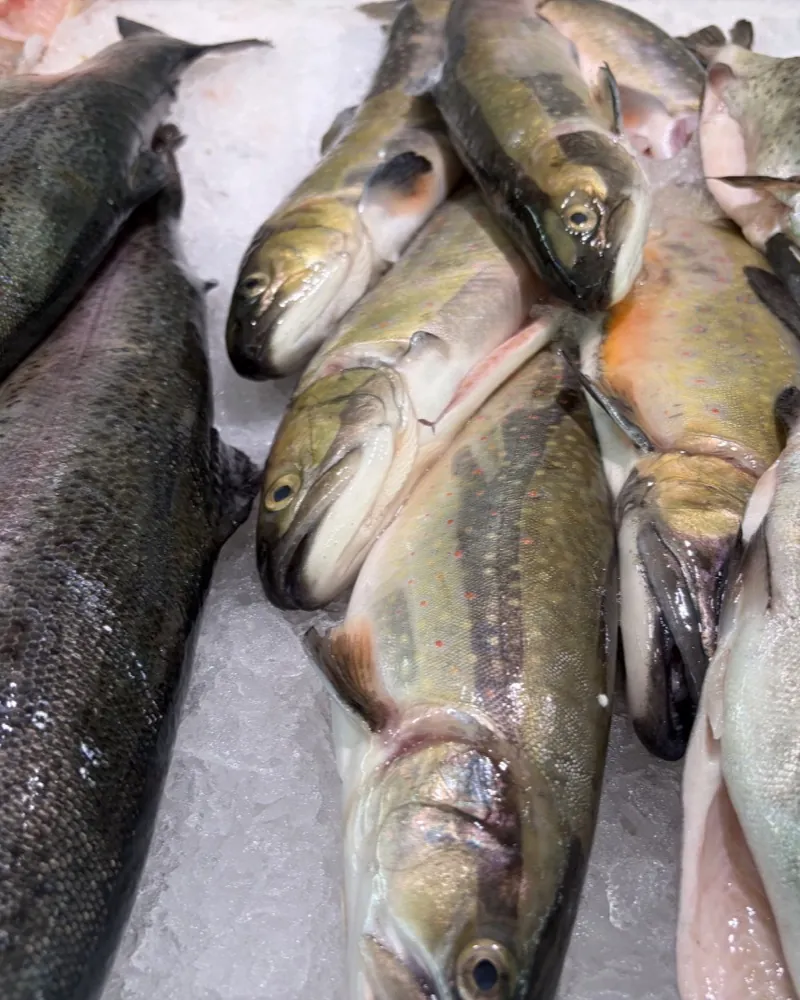 Fresh trout on ice at the Nickel Fischfeinkost stall at the Bötzowmarkt.