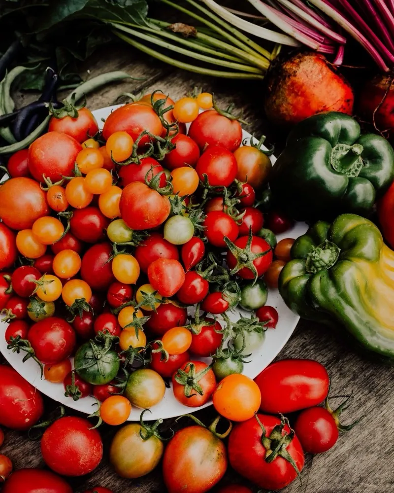 Tomatoes in many colours on a plate, with peppers and beetroot beside them.