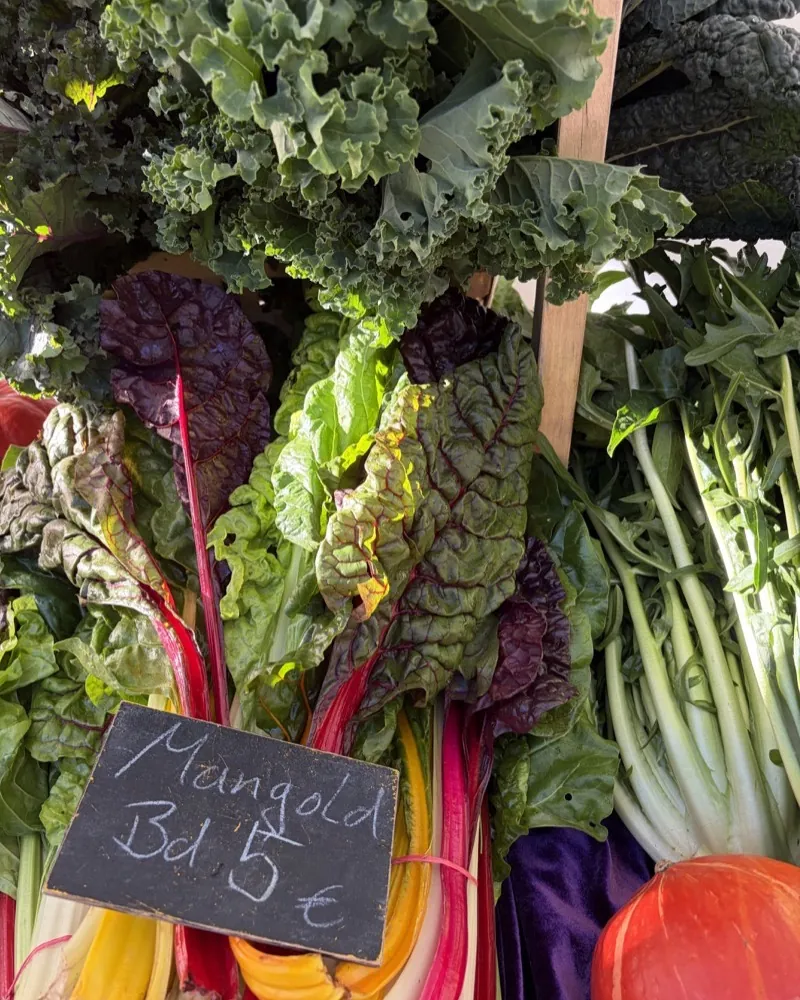 Colourful chard, kale and a Hokkaido squash at the Gärtnerhof Wuttke stall at the Bötzowmarkt, with a sign reading “Mangold”.